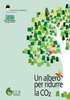 albero