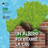 albero