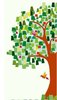 albero