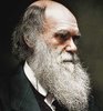 darwin