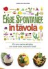 erbe