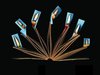 FESTA LIBRO