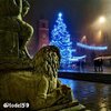 Foto_Elio Lodi