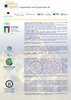 pagina organizzazione