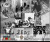 ricerca