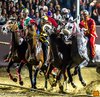 Palio