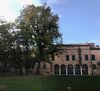 Tiglio (Tilia Cordata) di Parco Pareschi