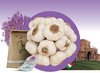 Aglio di Voghiera (foto Consorzio Aglio di Voghiera Dop)