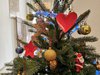 Albero Natale Comune Ferrara dicembre 2022