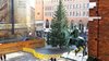 L'Albero di Natale in allestimento in piazza a Ferrara - novembre 2018