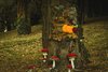 "Albero vestito" sul Montagnone di Ferrara