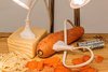 Appuntamento Museo Storia naturale Ferrara su energie alternative - nov 2019