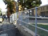 I richiedenti asilo impegnati in attività di volontariato (foto Comune di Ferrara)
