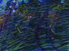 Umberto Boccioni, "Stati d’animo. Quelli che vanno", 1911 Milano, Museo del Novecento © Comune di Milano