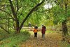 Un'attività a cura dell'Associazione recupero essenze autoctone (AREA) all'interno del Bosco di Porporana, nel territorio comunale di Ferrara