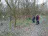 Un'attività a cura dell'Associazione recupero essenze autoctone (AREA) all'interno del Bosco di Porporana, nel territorio comunale di Ferrara