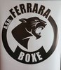 Logo Ferrara Boxe 