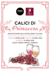 Locandina di "Calici di primavera"