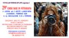 Cartolina del corso di fotografia FotoclubFE 2026