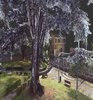Uno dei cedri del Libano di Parco Massari