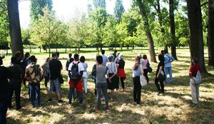 "Coltivare lo spazio pubblico" - Ferrara, 20 maggio, 7 e 21 giugno 2018