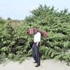 Concorso Giovane Fotografia Italiana: un'immagine di Francesco Levy per la passata edizione