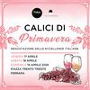 cop instagram Calici primavera 2026