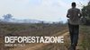 Deforestazione MadeInItaly1 - docufil in programma mercoledì 29 gennaio 2020 per "Ferrara Film Corto"