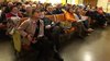 Il pubblico durante il primo degli incontri "Digitali si diventa" (foto Ufficio stampa del Comune di Ferrara)