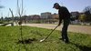 "Disseminazione" - laboratorio verde di Wunderkammer per la darsena di Ferrara (foto Leonardo Delmonte)