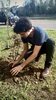 "Disseminazione" - Manfredi Patitucci al laboratorio verde di Wunderkammer per la darsena di Ferrara (foto Leonardo Delmonte)