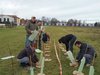 Giardinaggio al Barco (Ferrara, 16 dicembre 2017)