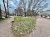 Il giardino di fronte alla scuola Poledrelli