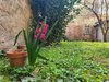 Call fioriture 2020: giardino di Ferrara (foto dell'associazione Ilturco per manifestazione Interno Verde)