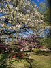 Giardino Ristoro di Palazzo Schifanoia 