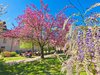 Il giardino di Schifanoia a primavera