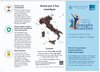 Copetina del pieghevole esplicativo della "Indagine sui Bilanci delle Famiglie italiane 2020"
