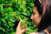 "Interno Verde", un'immagine della passata edizione