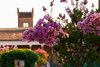 Interno Verde Ferrara 2022 - un giardino