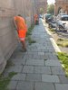 Interventi di sfalcio dell'erba dai marciapiedi in corso Giovecca a Ferrara
