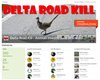La pagina del sito iNaturalis.org dedicata al progetto "Delta Road Kill"