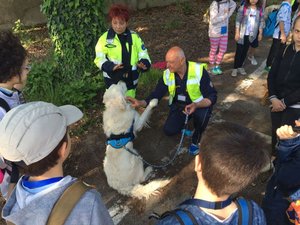 Dimostrazioni di Protezione civile - Ferrara, 20 aprile 2018