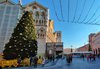 L'albero in piazza della Cattedrale a Ferrara