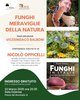 Locandina della serata dedicata a "Funghi meraviglie della natura" in programma a Ferrara lunedì 23 marzo 2026