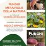 “Funghi, meraviglie della natura”: serata dedicata alla biodiversità con il micologo Oppicelli