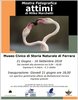 Locandina della mostra fotografica di Milko Marchetti - Museodi Storia Naturale - Ferrara, 21 giugno-16 settembre 2018