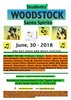 Locandina della giornata musicale "Students' Woodstock Santo Spirito" - Ferrara, 30 giugno 2018