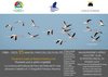 Locandina della mostra "Locandina tra terra e mare"
