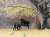 Il pianista Marcelo Cesena nel giardino della biblioteca Ariostea (foto Biblioteca comunale Ariostea)