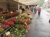 Mercato settimanale del lunedì in area Acquedotto (maggio 2026 - foto GioM)